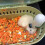 Transparent hamster carrying case large size 8