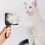 Self-Cleaning Cat Brush for Shedding and Detangling 2