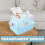 YARNOW plastikbur til små dyr, bærbar hamsterbærer 4