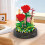 Conjunto de Bonsai com Buquê de Rosas Vermelhas para Meninas 6
