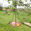Bird Feeder and Waterer with 4 Compartments 6