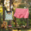 Sac de pinces à linge Fraise Capybara (2 pièces) Lavable 3