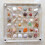 Acrylic Shell Storage Box Transparent Mini Specimen Box 4