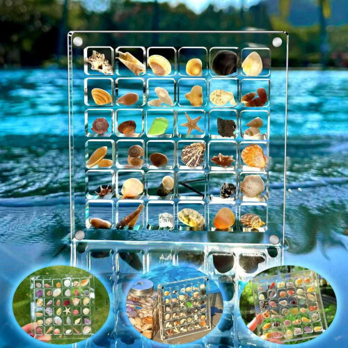 Acrylic Shell Storage Box Transparent Mini Specimen Box 1