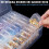 Bead Organizer Box Clear Plastic Storage Container with 5