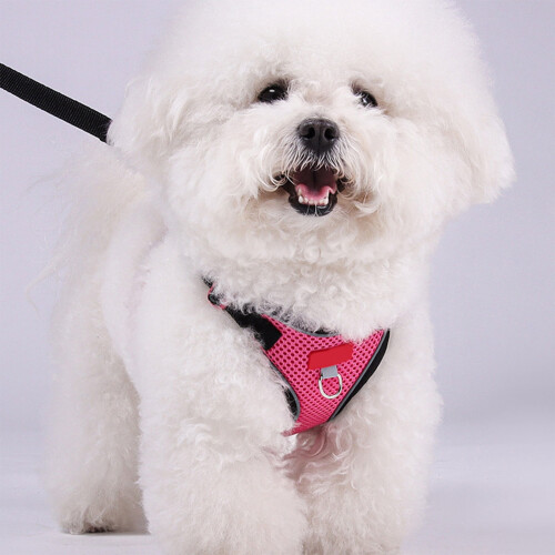 Cat Vest Harness and Leash Set Adjustable Breathable Mesh 2