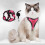 Cat Vest Harness and Leash Set Adjustable Breathable Mesh 4