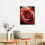 Tableau mural sur toile Rose rouge 40 x 50 cm 2