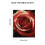 Tableau mural sur toile Rose rouge 40 x 50 cm 3