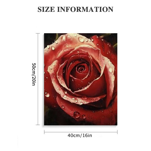 Tableau mural sur toile Rose rouge 40 x 50 cm 2