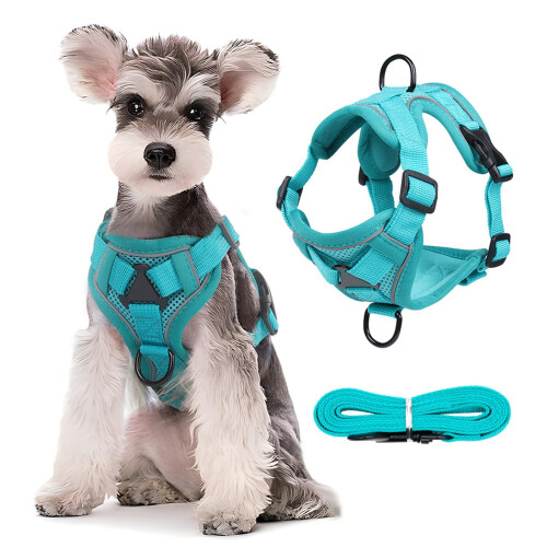 Cat Harness with Leash Plaid Padded Vest Step-in Blue 2