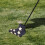 Golf Club Head Covers with Window for Driver and Putter 6
