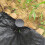 Plastic Garden Stakes for Artificial Grass 50 pcs 6