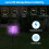 Outdoor Bug Zapper Solar Powered Waterproof 4PCS 5
