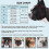 Dog Muzzle Soft Silicone Adjustable Breathable for French 3