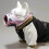 Dog Muzzle Soft Nylon Anti-Biting Barking Chewing XS Green 6