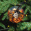 Kitten Witch Hat Ceramic Ornament Black White 1pc 5