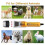 Electric Cordless Pet Hair Trimmer with Multi-Use Function 5
