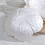 Flower Shape Fruit Plate Crystal Glass Pearlescent White 3 3