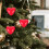 Fillable Heart Ornament Balls Red Plastic 10 pcs 3