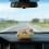 Universal Car Windshield Clip Ornament 5