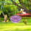 Hummingbird Feeder Floral Style Red Hanging Hook 5