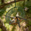 Hanging Wreath Bird Feeder with Hook Outdoor Decorative 4