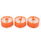 Filtru de aspirator BLACK DECKER compatibil cu BDPSE1815P 5