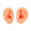 Teaching Ear Model Silicone Human Bilateral Ear Display for 2