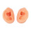 Teaching Ear Model Silicone Human Bilateral Ear Display for 7