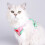 Cat Harness and Leash Set Adjustable Breathable Reflective 2