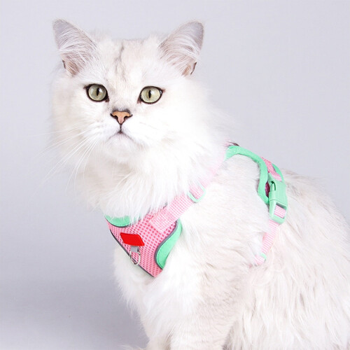 Cat Harness and Leash Set Adjustable Breathable Reflective 1