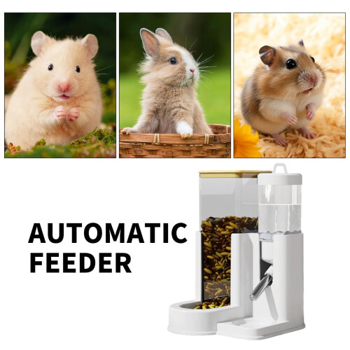 Gamelle et biberon pour hamster (1 ensemble) 2