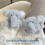 Θήκη Capybara Plush AirPods – Κάλυμμα Soft3D σε σχήμα κινουμένων σχεδίων για 2