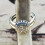 Sun and Moon Ring Set Gold Silver Rhinestones Size 6-11 6