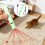 Katzen-Spielstab, USB-C-aufladbar, 1 Stück 4