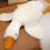 Ultrazacht pluche eend knuffelkussen 20 inch 4