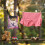 Cherry Blossom Hummingbird Clothespin Bag – 2 pcs, 3