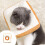 Adjustable Cat Recovery Collar Soft Cotton Neck Cone 6