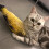 Catnip Toy Fish Shape Fluffy Doll for Cats 2