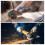 Angle Grinder Auxiliary Handle for Sander Cutting Grinding Machine 4