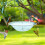 Outdoor Bird Bath and Feeder with Hanging Hook 5