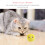 JTWEEN Fluffy Cat Toy Balls with Chirping Sounds Refillable 5