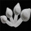 Nesting Braille Measuring Cups for Cooking, Baking, Cateuring, Science Experiments, Home, & School 3