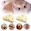 Hamster Molar Stone Grinding Chew Toy for Teeth Care 2