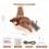 Flappy Bird Cat Toy Rechargeable Chirping Flapping Wings 6