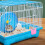 PP Hamster Cage Clips Easy Install No Drilling 8 pcs 4