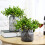 Artificial Blueberry Stems Home Decor 4Pcs 6