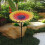 Metal Sunflower Bird Feeder Stake Flower Tray Rust-Proof 4