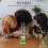 Electromagnetic Physics Experiment Set Electric Thermal 3
